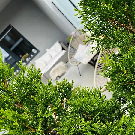 Toscania Apartament *